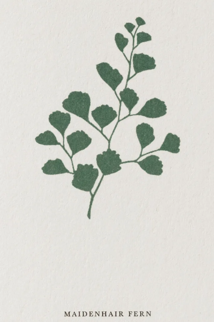 kartotek_korta_fern_1.webp Kartotek Kort-A6 Fern