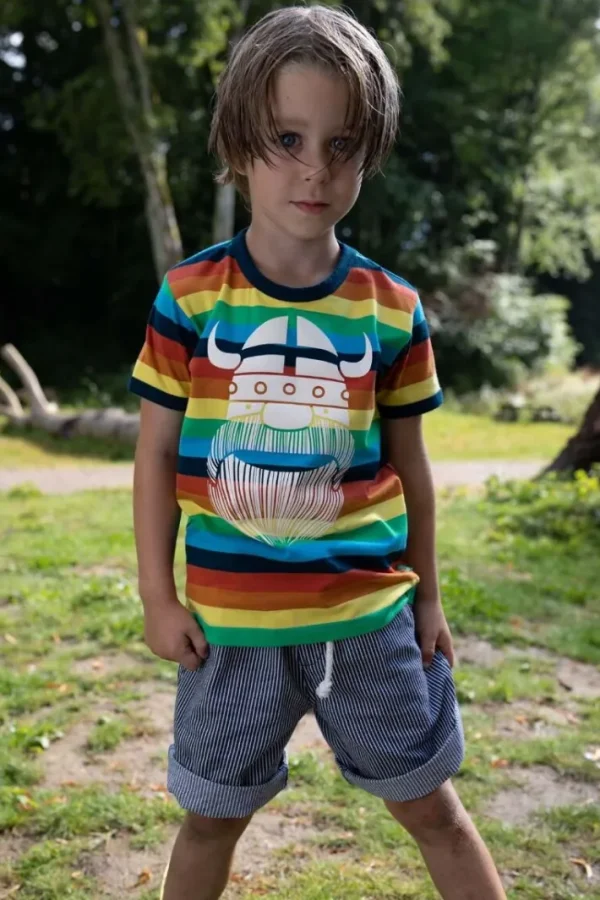 ORGANIC - Danechives tee Arcenciel ERIK