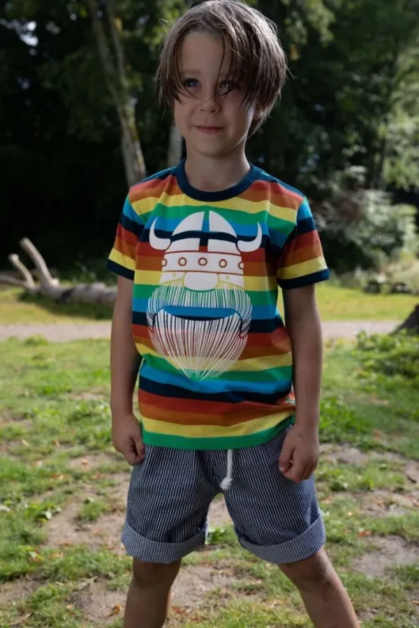 ORGANIC - Danechives tee Arcenciel ERIK