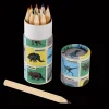 RL Coloring Pencils-Set of 12 Dinosaur