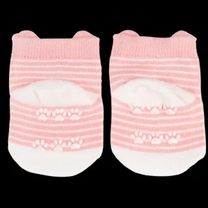 RL Socks Cookie the cat